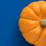is pumpkin good for weight loss