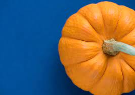 is pumpkin good for weight loss