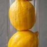 Lemons And How to Store