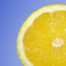 lemons to lose weight