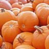 pumpkin for constipation