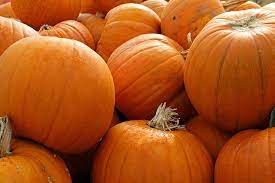 pumpkin for diabetics