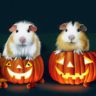 pumpkin for guinea pigs