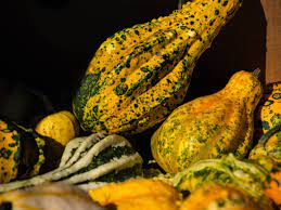 pumpkin or zucchini