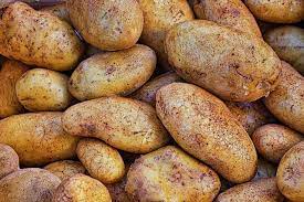 pumpkin vs potato carbs