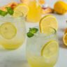what lemons do you use for limoncello