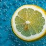 what lemons don't have seeds