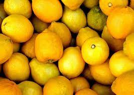 what lemons for limoncello