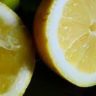What Lemons Have Seeds