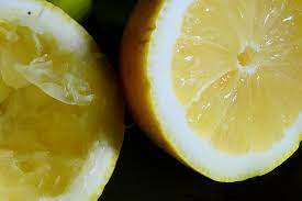 What Lemons Have Seeds