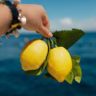 who brought lemons to italy