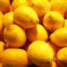 who discovered lemons