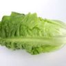 who has lettuce on sale this week