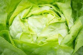 Why is There a Lettuce Shortage in Australia