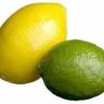 why lemons are bitter