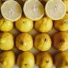 Why Lemons Are Stored in Vinegar