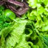 why lettuce tastes bitter