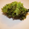 why lettuce turns brown