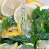 will lemons break a fast