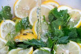 will lemons break a fast