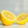 will lemons grow in uk