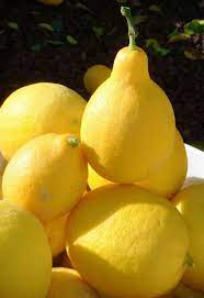 will lemons ripen after picking