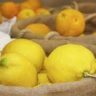 will lemons ripen if picked early