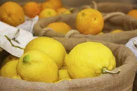 will lemons ripen if picked early