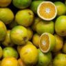 Will Lemons Ripen on The Counter