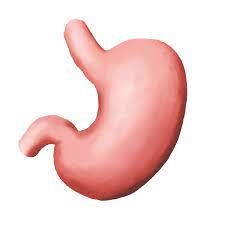 Can Garlic Cause Acid Reflux