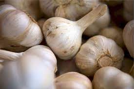 Garlic For Dogs