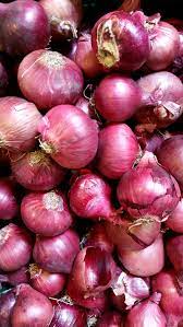Is Onion Good For Health