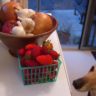 Onion to dogs