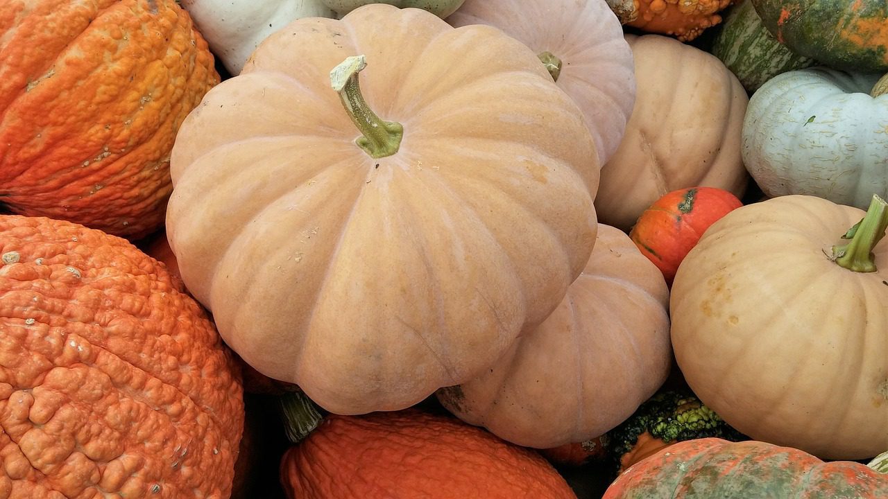 Pumpkin Types