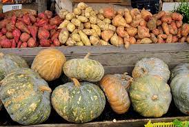 Pumpkin vs Sweet Potato