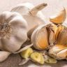 What is garlic used in