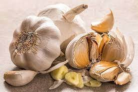 What is garlic used in