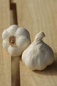 When garlic is ready to harvest
