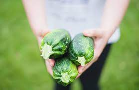 Which Zucchini Is The Healthiest