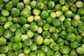 are cabbage and brussel sprouts related