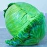 Are Cabbage Good For You