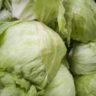 are cabbage leaves edible