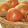 are onions good for you