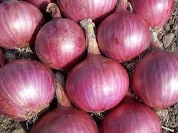 are onions vegetables