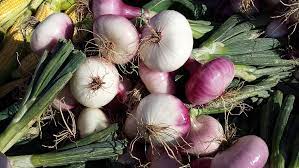 are shallots spring onions