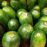 are zucchini fruit