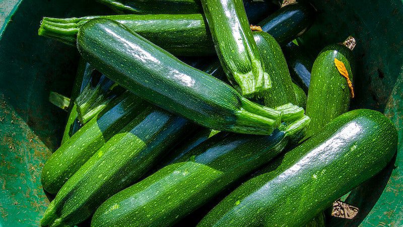 are zucchini good for you