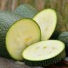 are zucchini in season