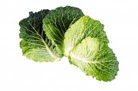 cabbage where to buy