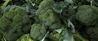 can cabbage and broccoli be planted together